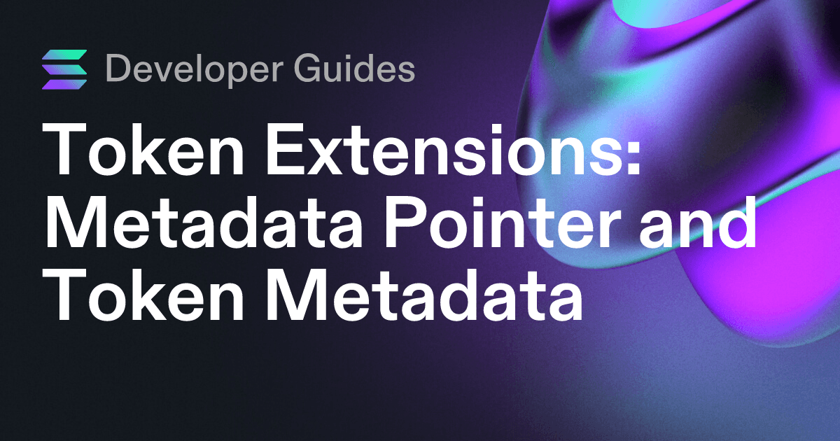 How to use the Metadata Pointer extension